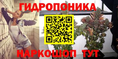 каннабис Берёзовский