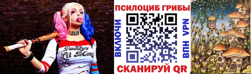 Псилоцибиновые грибы Psilocybine cubensis  купить  сайты  мориарти телеграм  Лосино-Петровский 