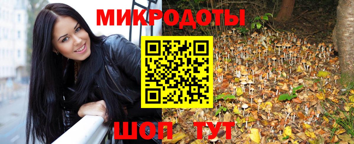 как найти закладки  Псилоцибиновые грибы Psilocybine cubensis  Лосино-Петровский  Вход с VPN  Псилоцибиновые грибы ЛСД 