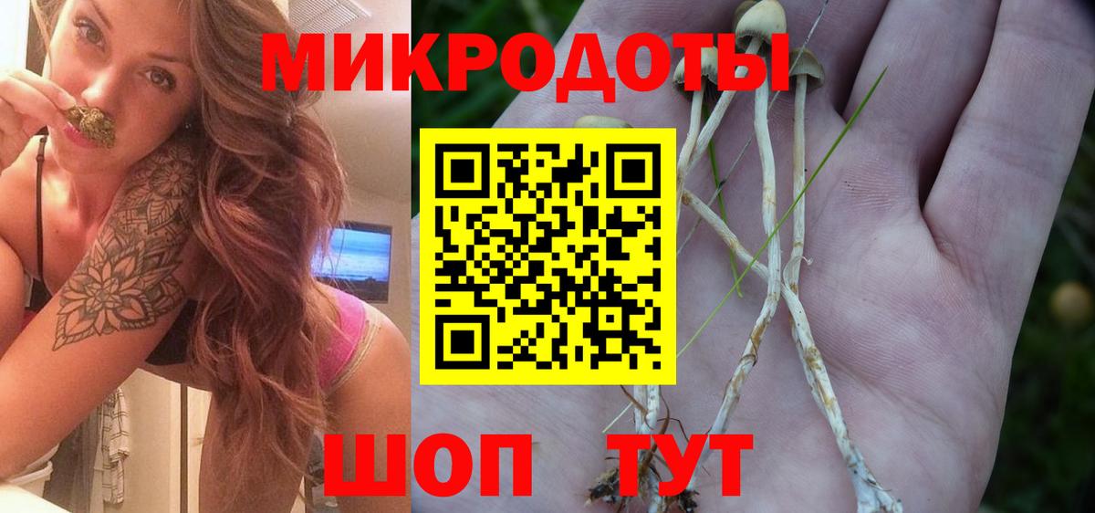 Псилоцибиновые грибы MAGIC MUSHROOMS Лосино-Петровский